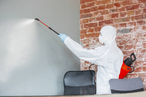 Best Post-Construction Mold Inspection  in West Point, GA