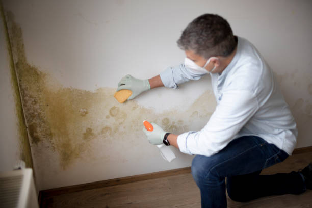 Best Comprehensive Air Testing for Mold Contaminants  in West Point, GA