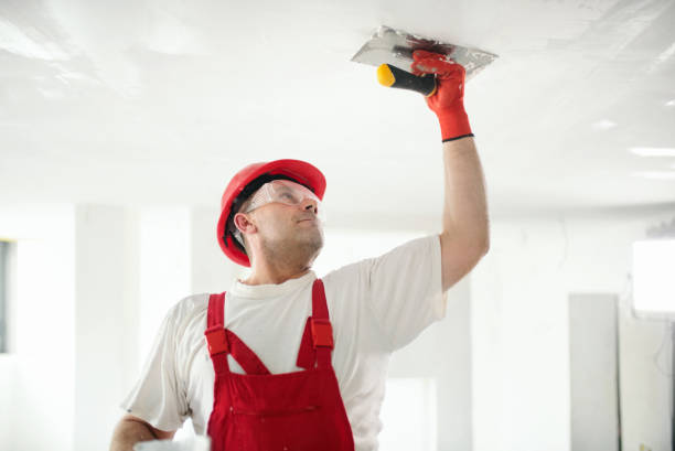 Best Emergency Mold Remediation  in West Point, GA